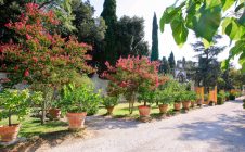Villa Nobile con piscina e annessi