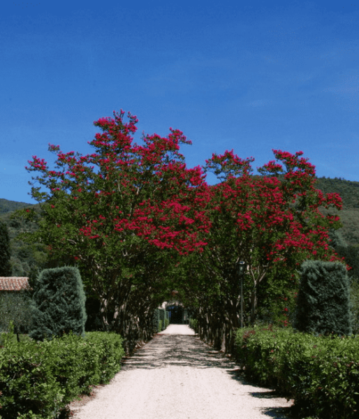 Villa Nobile con piscina e annessi