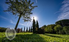 Villa nobiliare con annessi e terreno