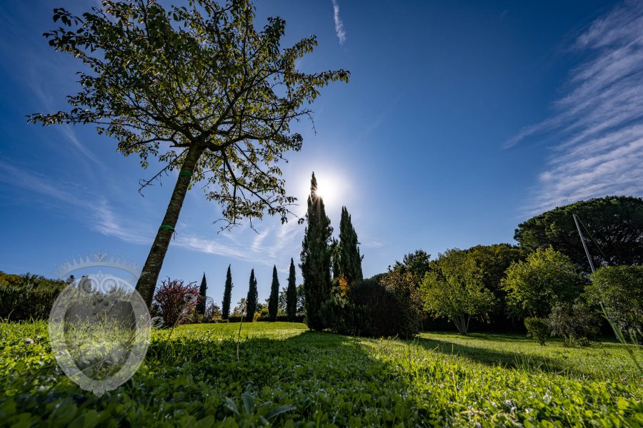 Villa nobiliare con annessi e terreno
