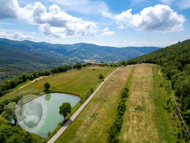 Casale con vista e annessi