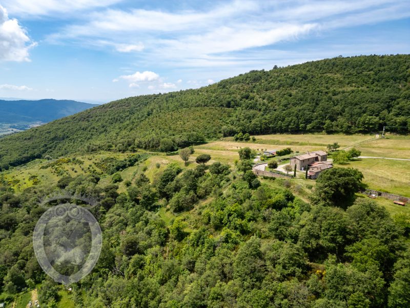 Casale con vista e annessi
