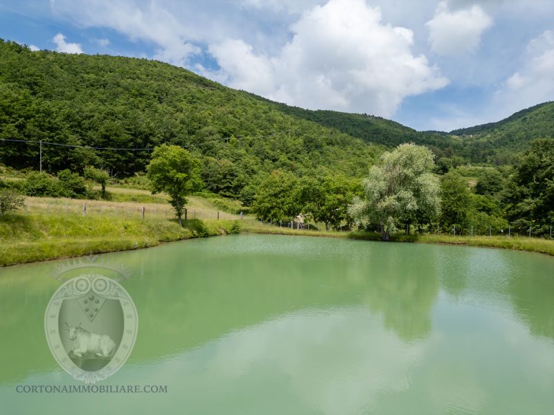 Casale con vista e annessi