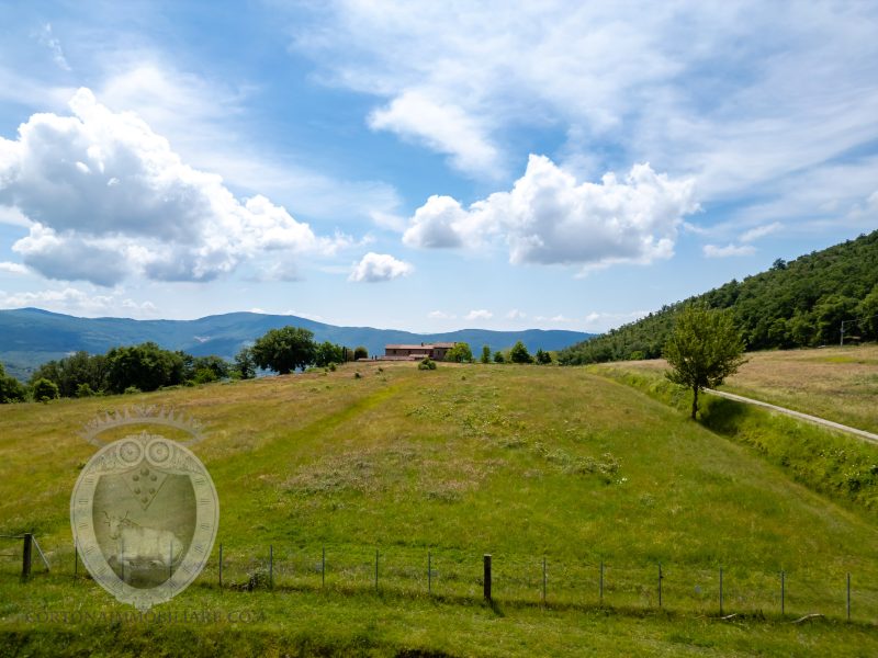 Casale con vista e annessi