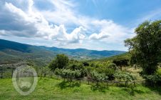 Casale con vista e annessi