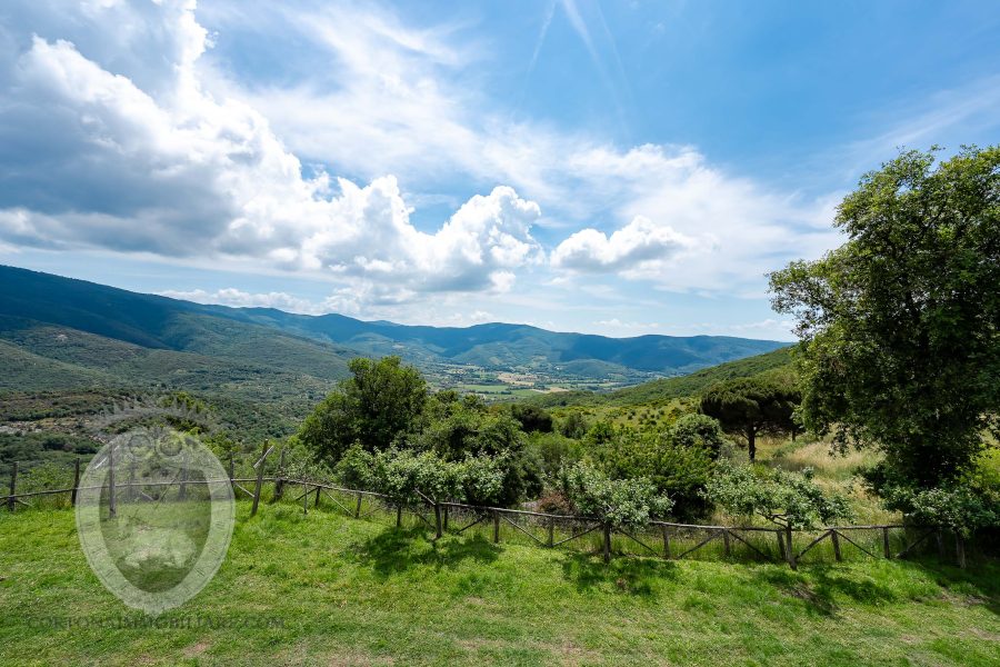Casale con vista e annessi