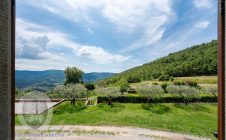 Casale con vista e annessi