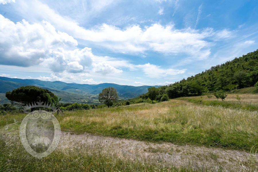 Casale con vista e annessi