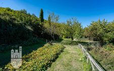 Farmhouse with annex and swimming pool