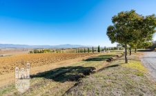 Appartamento con giardino e piscina